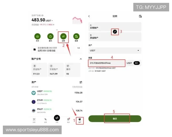 乐鱼网页版登录入口新版详细指南,帮助新手快速上手登录流程